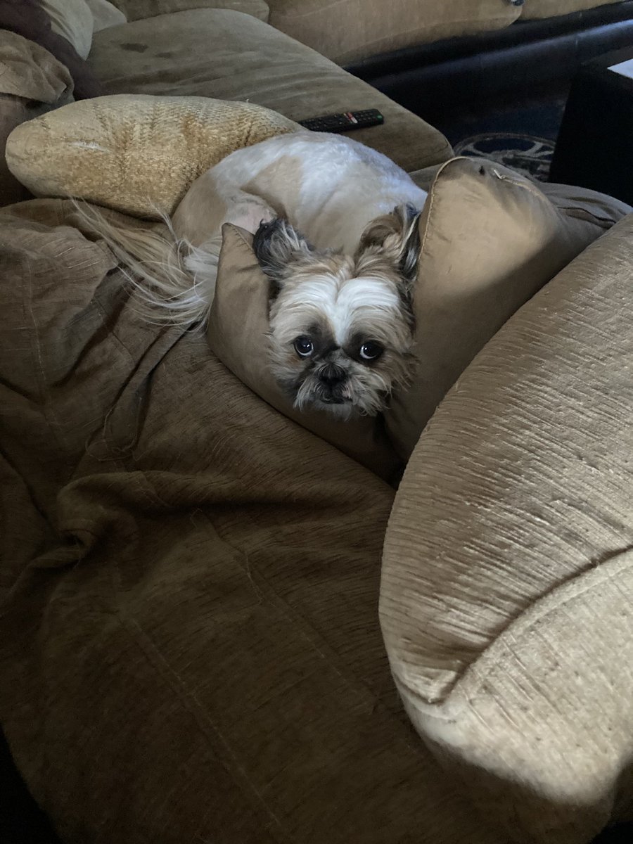 How cute am I?