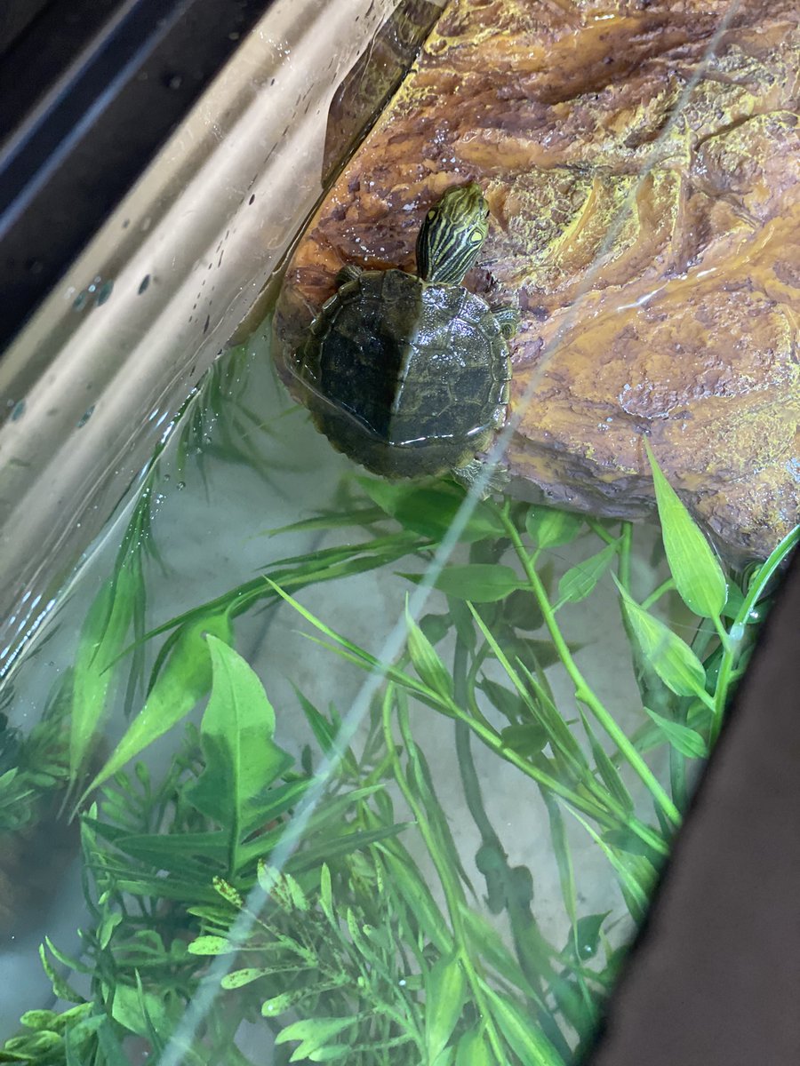 Kara Bugg tweet media