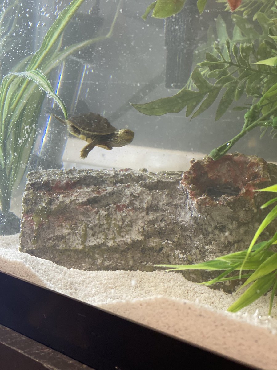 Kara Bugg tweet media