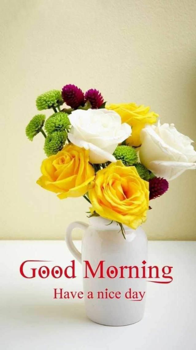 Raji M Burra. tweet media