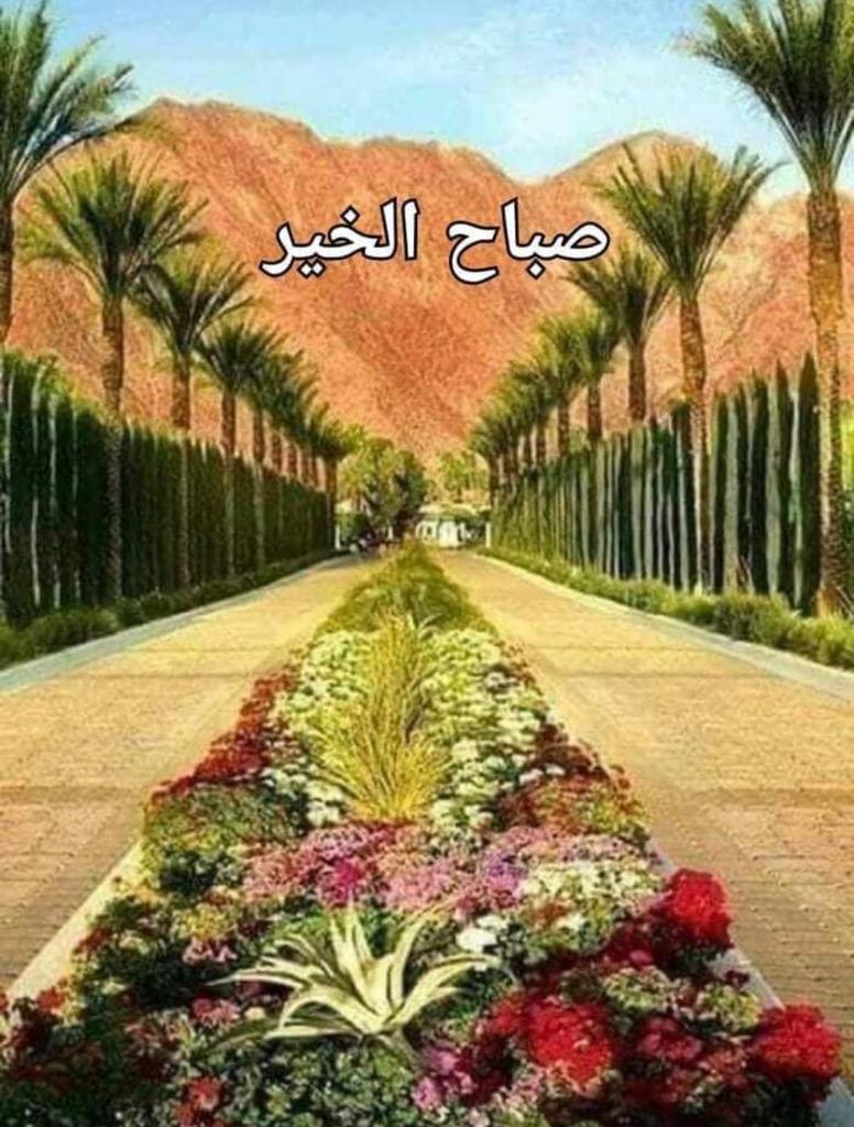 دمعة رقية (@lclool) on Twitter photo 