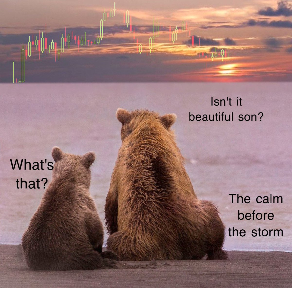 i_am_STOOOPID's tweet photo. $btc https://t.co/FnsG5NTC4X