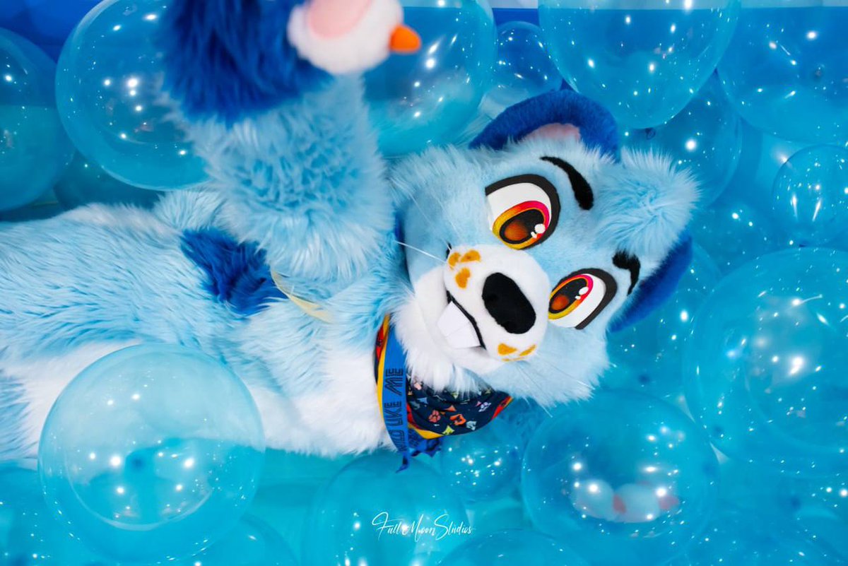 PoolToyParty @ACFI tweet media