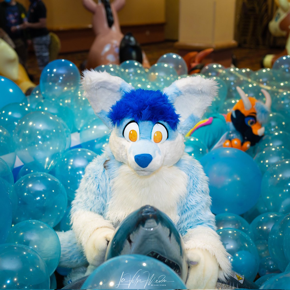 PoolToyParty @ACFI tweet media