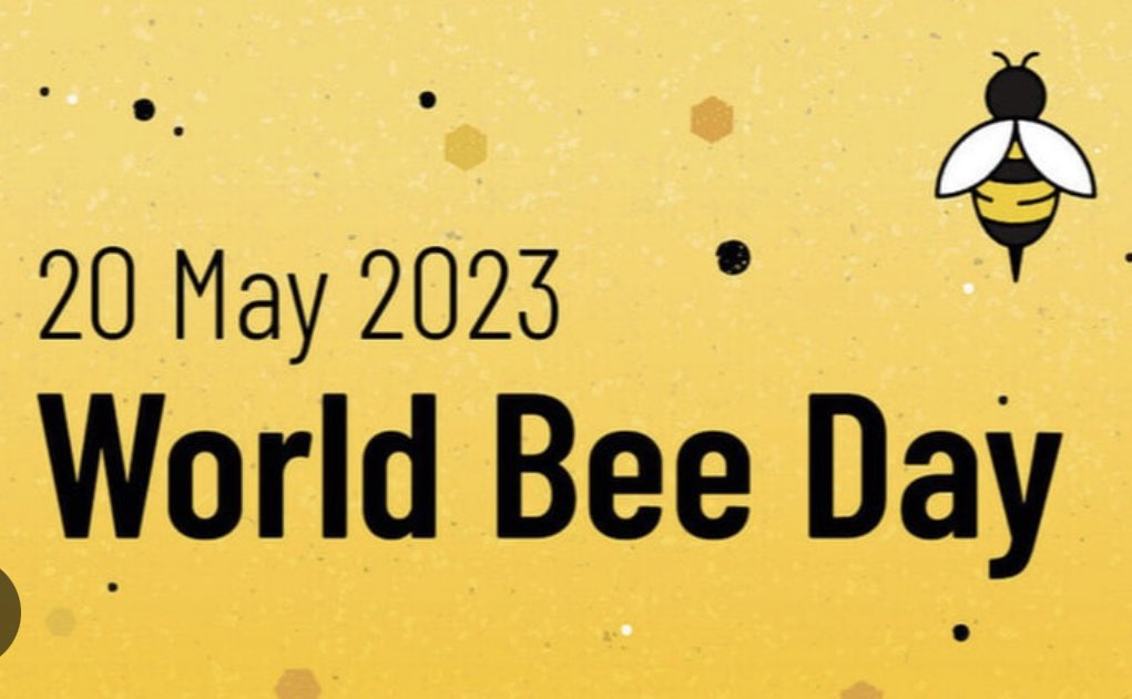 Happy world bee day @thehivebhcp 🐝