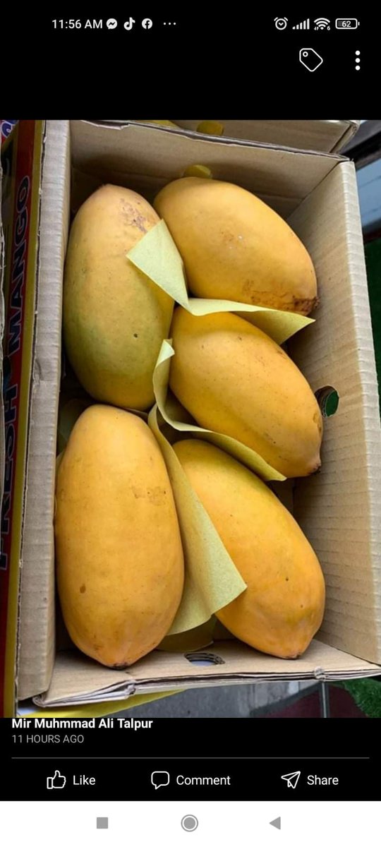 Talpur Traders tweet media