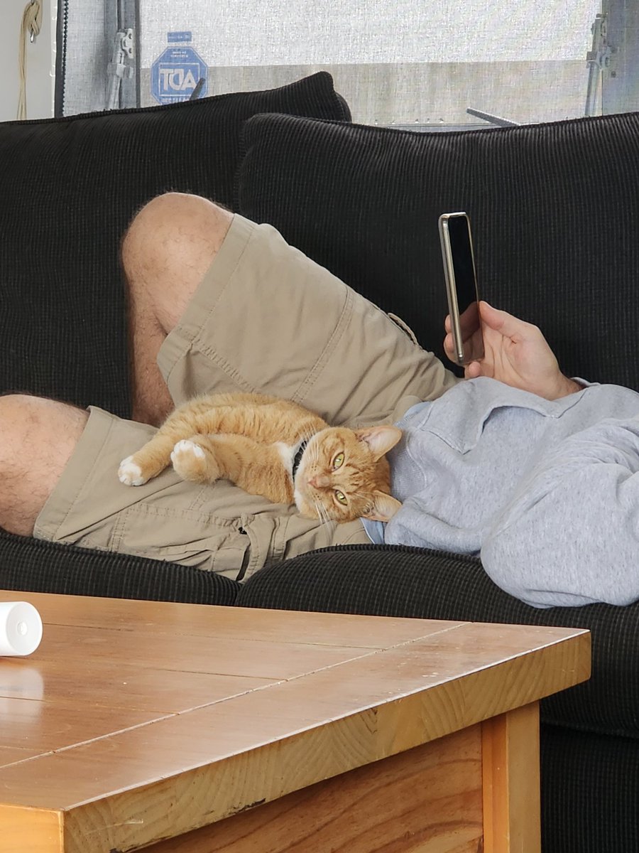 GIDeeNFT tweet media