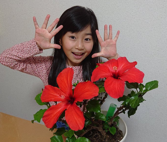 Twitterのコスプレ画像20