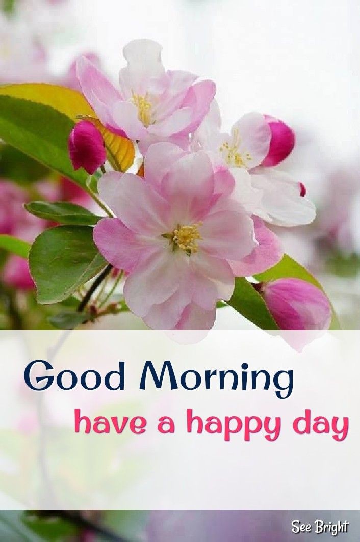 Sunita Chadha tweet media