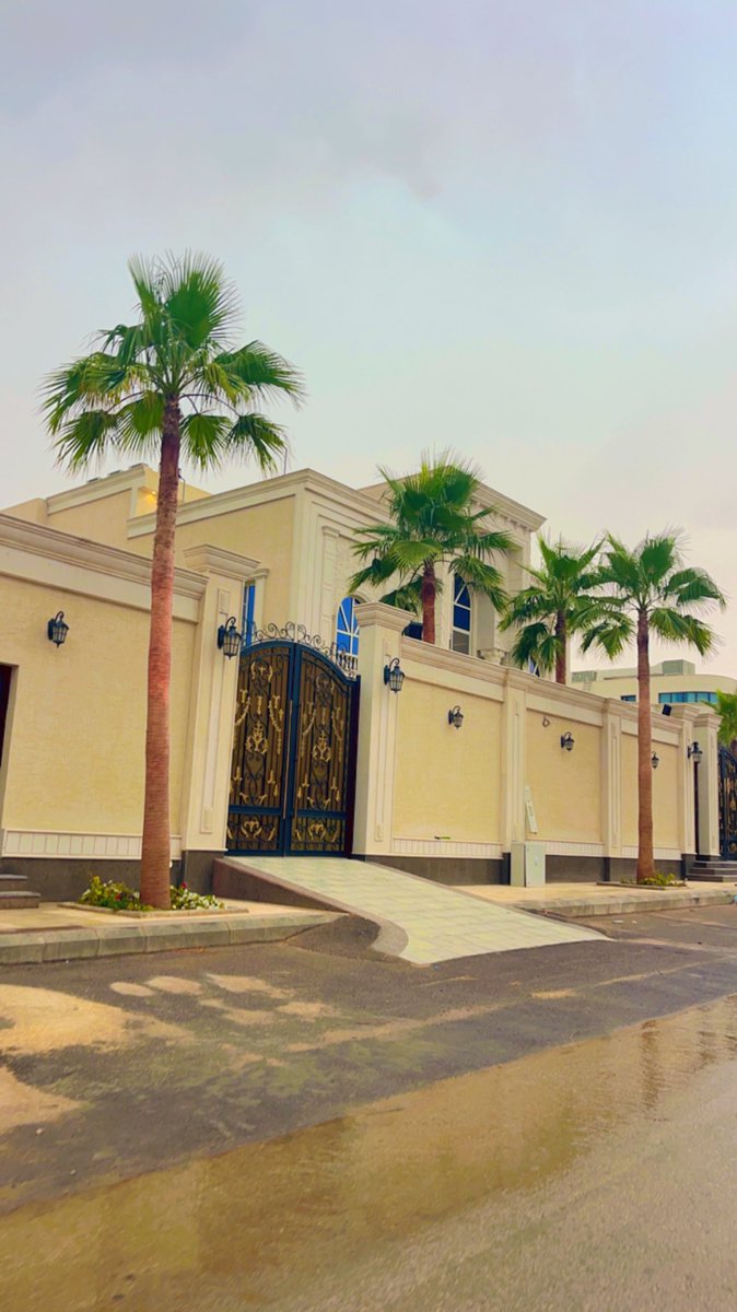 نخيل للبيع واشنطونيا ج0507786401