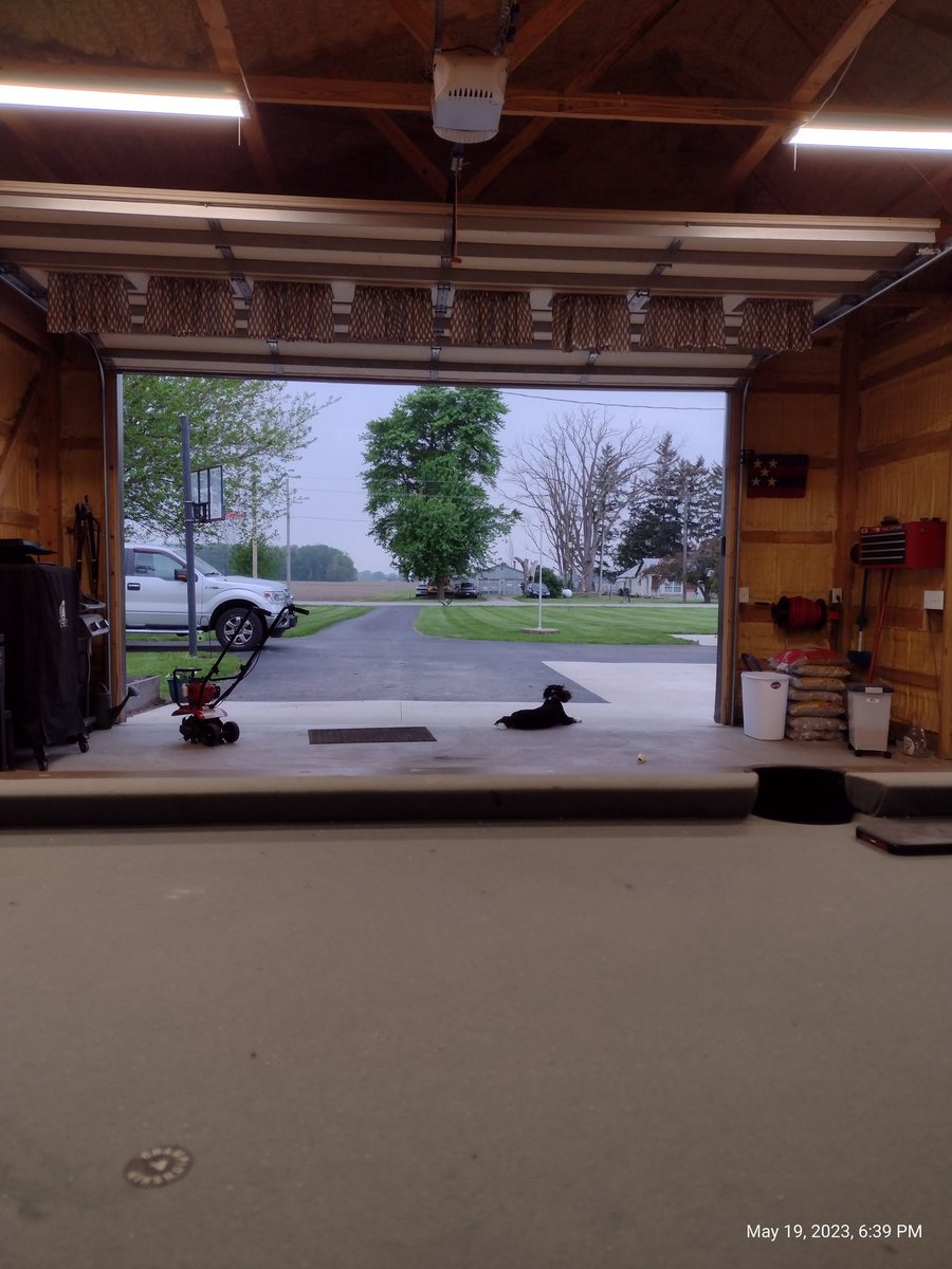 #FourLeggedFuzzyFluffySwissTerrorist