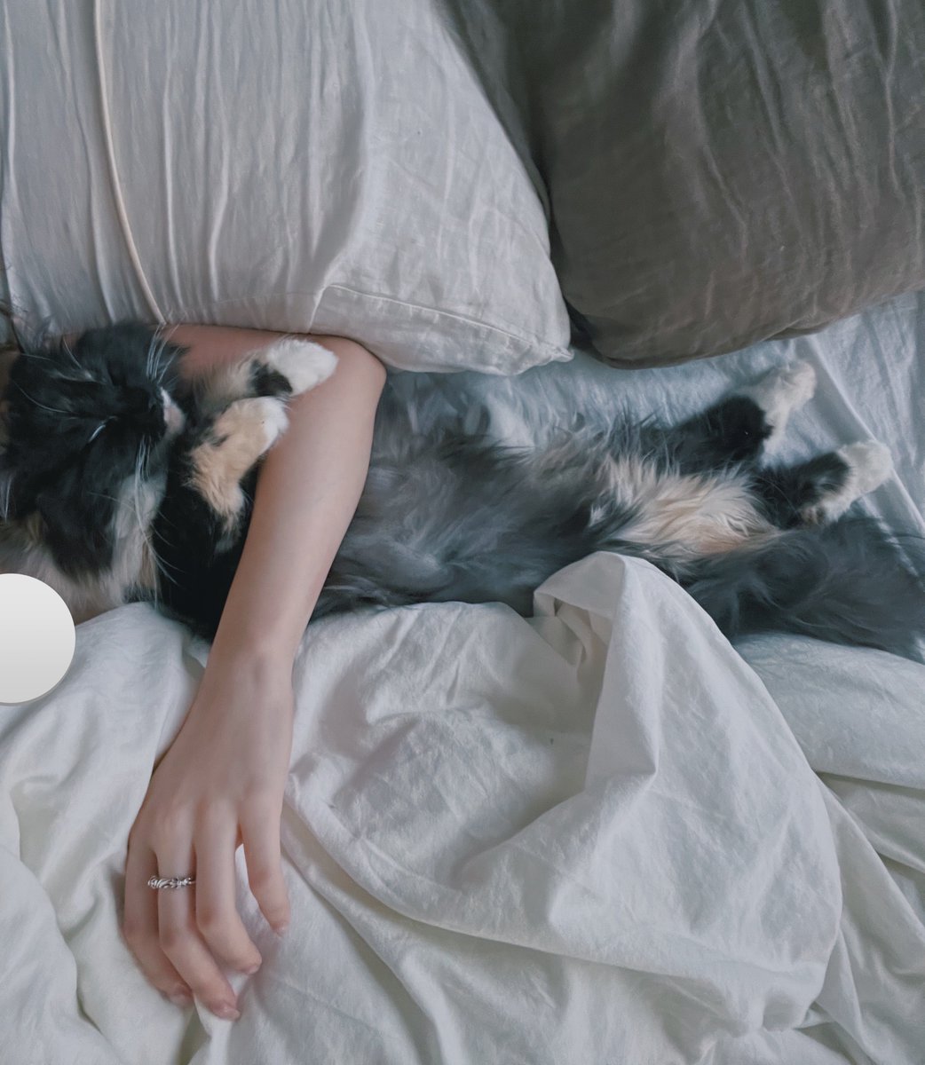 びって tweet media