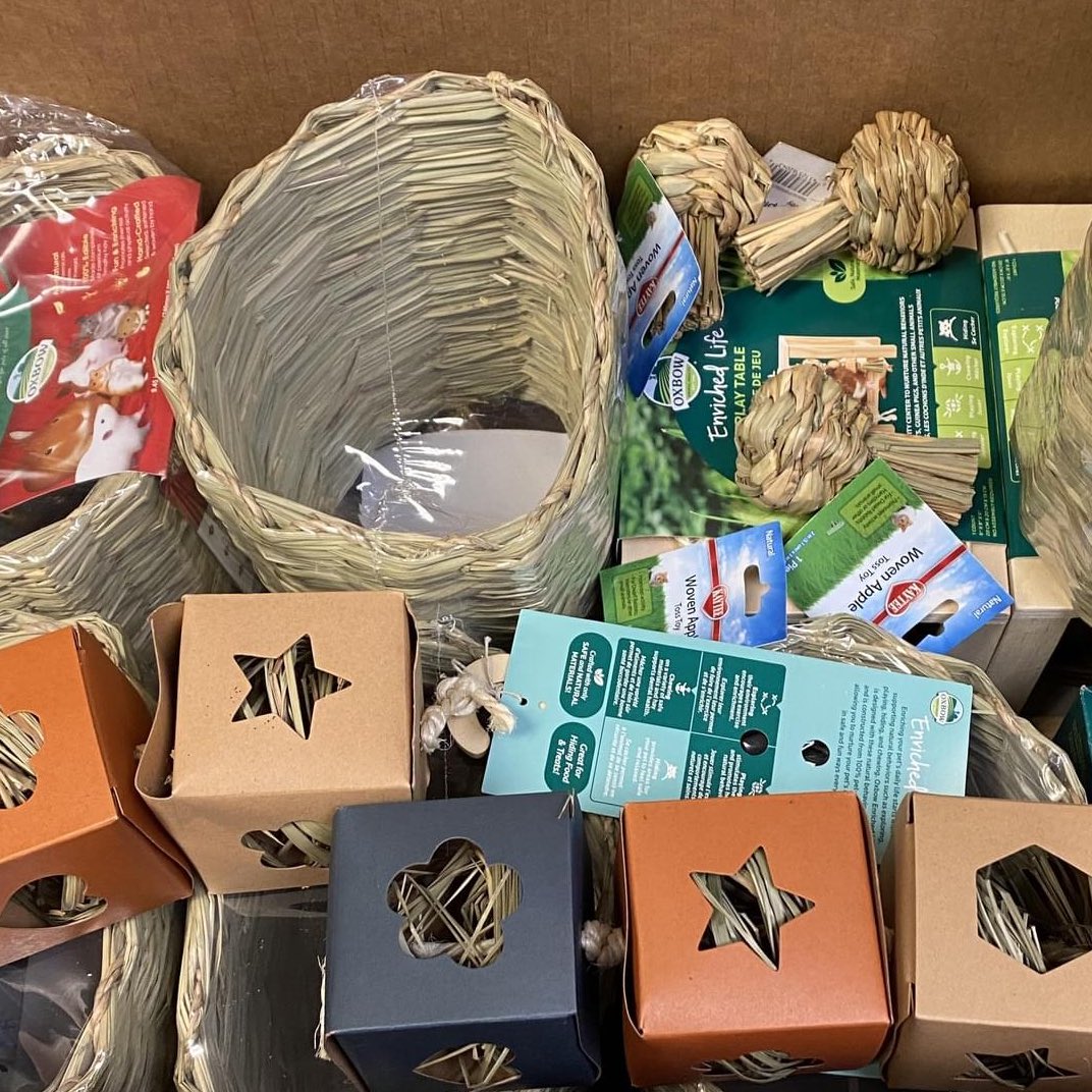 Thank you, @Chewy, for donating $1,000 USD in bunny toys to our shelter as part of the #ChewyGivesBack program. 💌 You've made our adoptable bunnies, like Oates, very happy! 🐰