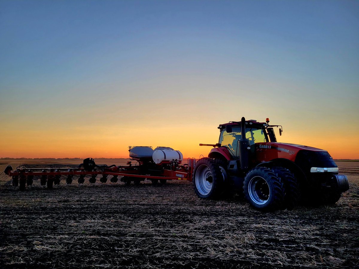 ᴡᴀʀʀᴇɴ ᴍᴄᴄᴜᴛᴄʜᴇᴏɴ tweet media