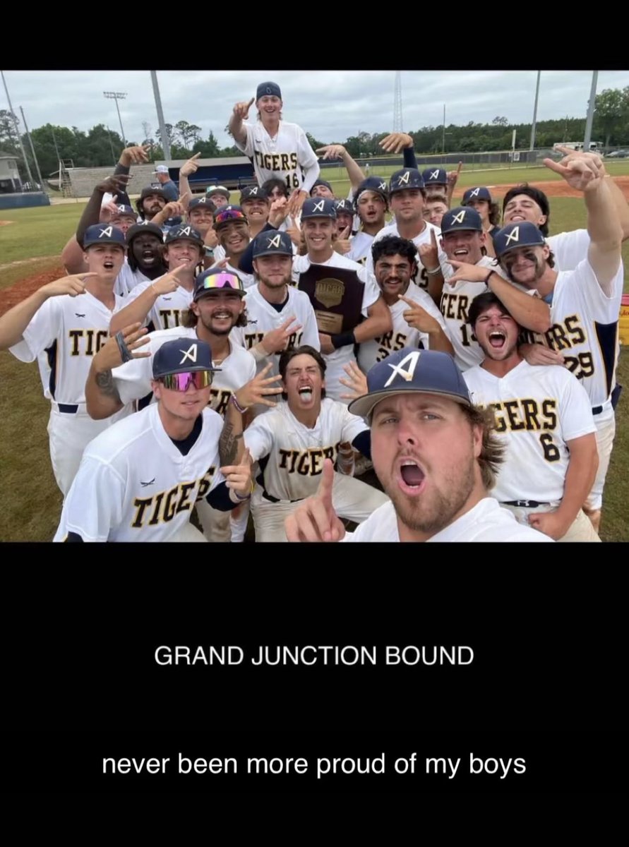Andrew College Baseball tweet media