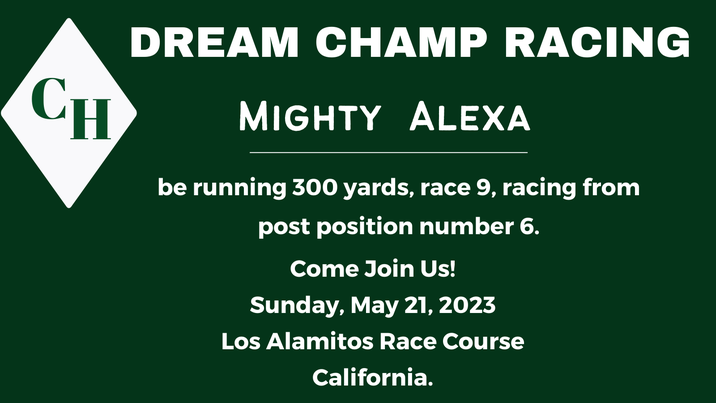 Dream Champ Racing (@racing_champ) on Twitter photo 