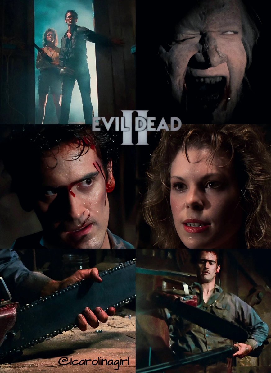 “Let’s head down into that cellar and crave ourselves a witch.”
Evil Dead 2: Dead by Dawn (1987)💀🎬