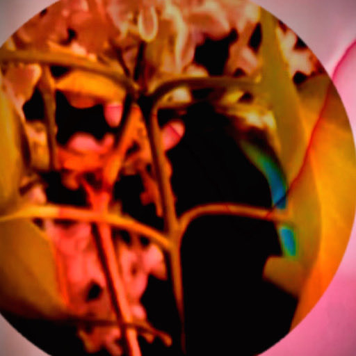 Nina Sobell (@wavybrain) on Twitter photo 