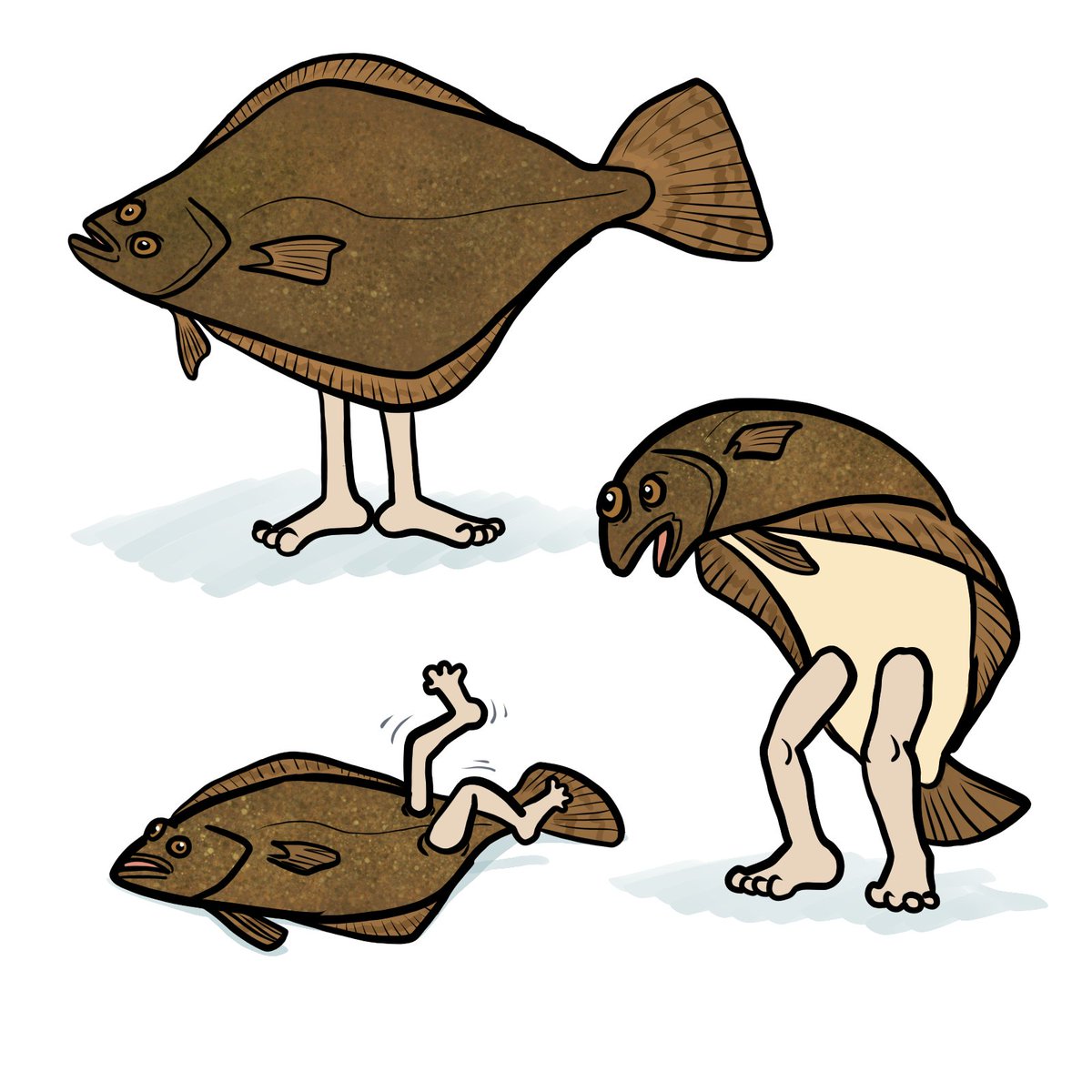 KetrinaYim's tweet photo. Alternative Mermay #16: If a flounder grew legs, where would they go?
#mermay #reversemermaid #merfolk #fish #fishwithlegs #flounder #art https://t.co/5QgdsOEDnG