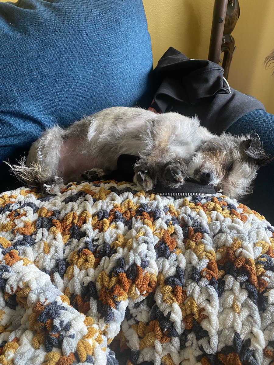 Erin Muroski (@erinmuroski) on Twitter photo 