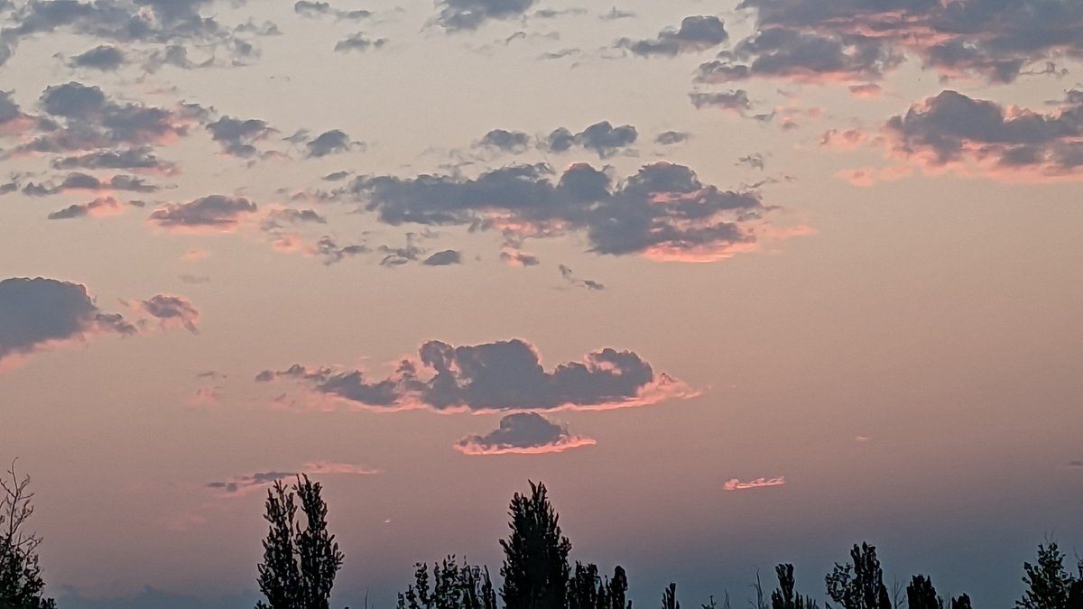 CalgaryBluesky's tweet photo. My love affair begins... #northsky https://t.co/pVkloEsoSP