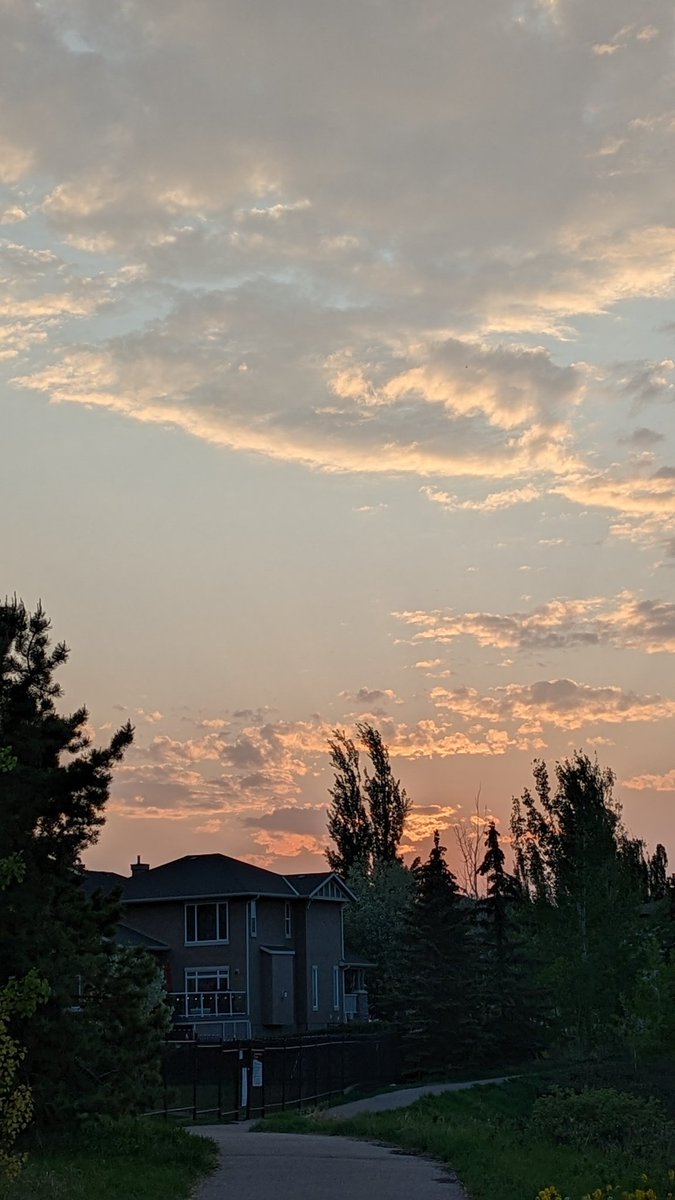 CalgaryBluesky's tweet photo. My love affair begins... #northsky https://t.co/pVkloEsoSP