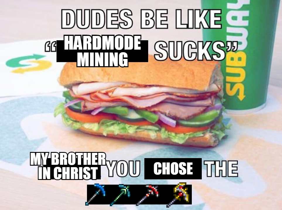 rTerraria's tweet photo. i still will never understand how pickaxes became the meta https://t.co/o9Dfw1GtDl https://t.co/upXjS3t99Q