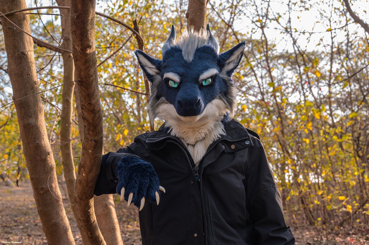 In the woodland, basking in the radiant embrace of the afternoon sun.

📷 @racoonwolf 
✂️ @beastfantasia

#KCDragon #KrescentDragon #FursuitFriday