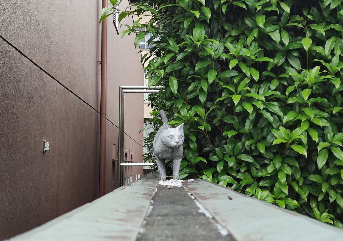 近くを通ったので徐に宣伝  作者お気に入りの猫回が収録されている単行本2巻、買うしか北斎!
