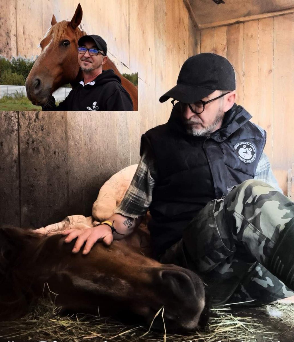 È morto Tathanka! Andrea Cisternino lo aveva salvato dal mattatoio, ma oggi ci lascia: il suo cuore non ha più retto alla paura del rumore delle bombe. La guerra uccide anche gli animali! Basta orrore! (Ucraina, Rifugio Kj2) #20Maggio