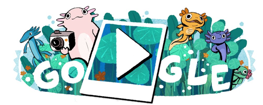 GoogleDoodles's tweet image. Today’s interactive #GoogleDoodle takes you on a trip to Lake Xochimilco in Mexico!

Are you quick enough to capture underwater pics of the rare axolotls? Click to play! → goo.gle/458zdHz