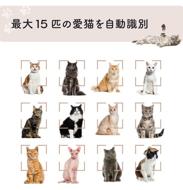 makuake_ca's tweet photo. ⋱スキマ時間に⋰
見逃し #マクアケ 配信中！
￣￣￣￣￣￣￣￣￣￣￣￣￣
もうすぐ終わり！
🐈多頭飼さん朗報です！🐈

🐱最大15匹まで認識
🐱毎日の健康チェック
🐱獣医師への情報伝達がスムーズ

猫さんのスマートトイレ🚽
猫好きさん⇒「🐱」リプ

#Makuake #マクアケ

https://t.co/eyBeYZk9JW https://t.co/azEM5DALsR