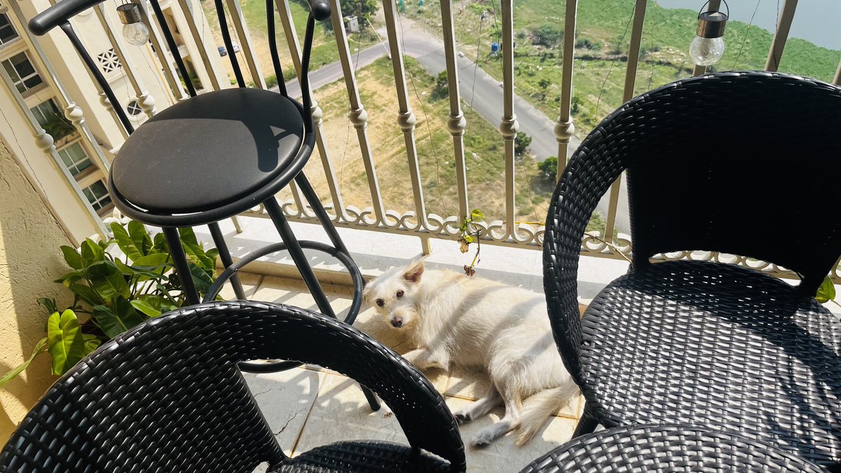 Someone actually sunbathing in Chennai <a href="/40/">40</a> degrees. Gosh! 🙂#chennaiheat #heatwave #summer