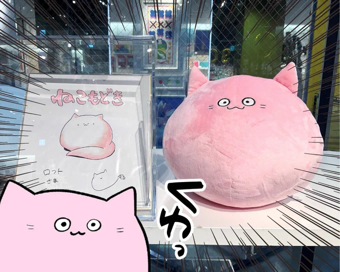 渋谷ロフトPOPUPにて、フォロー&RTキャンペーンのぬいぐるみを特別展示中!🌽✨