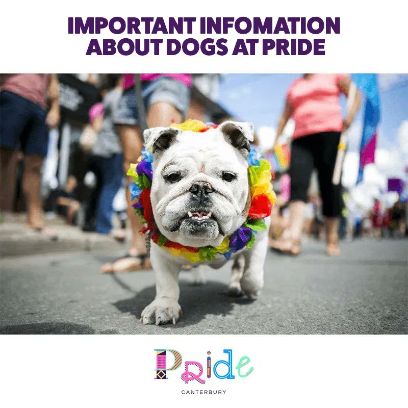 CALLING ALL WELL-BEHAVED DOGGIES! 🐶 Dear LGBTQ+ dogs and allies, will you be getting your bestest most colourful collar and lead on for SAT 10th — SUN 11th JUNE 2023 for a super exciting walk in the DANE JOHN GARDENS? 🐾 Make sure TO PRE-REGISTERS: forms.gle/m9ftyjj6r3RKS5…