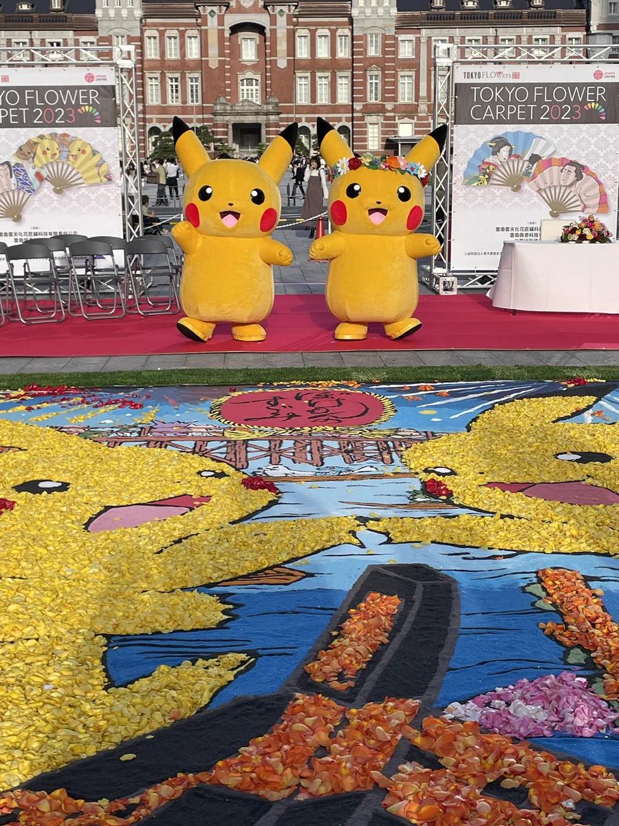 ポケモンだいすきクラブ編集部【公式】 on X: 