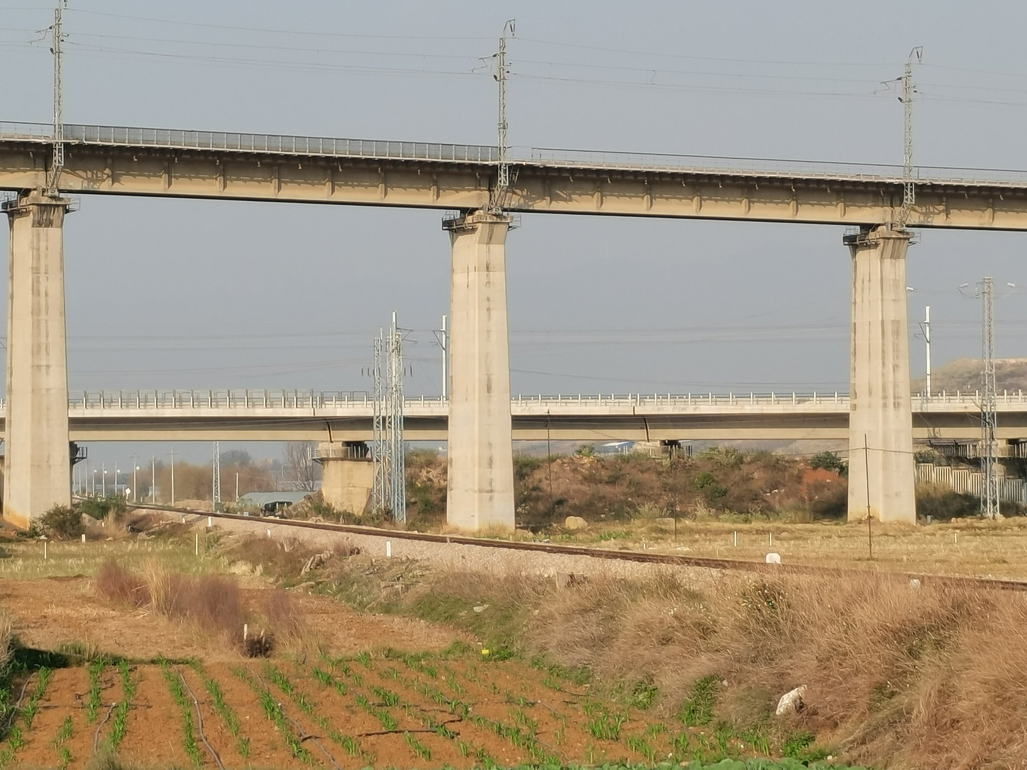 tanglekyinkwi) / Twitter