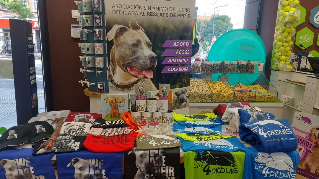 ¡Chic@s! ¡Ya os estamos esperando!

En el <a href="/tiendanimal/">Tiendanimal</a> de avd. Albufera #Vallecas