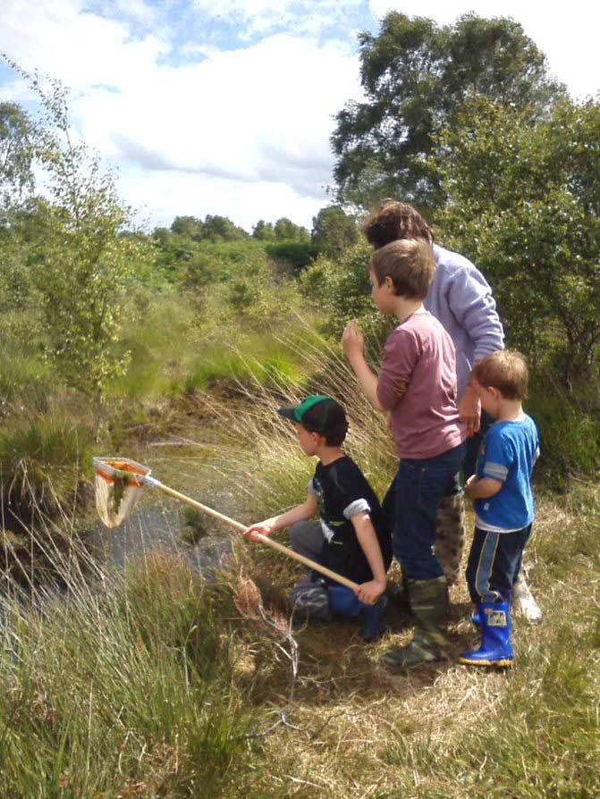 It's the Start of #NationalNatureReserveWeek

We have events across our #Shropshire, #Staffordshire and #Worcestershire #NationalNatureReserves

Discover the very best #Nature has to offer this spring at: NNRweek.com

#NNRWeek2023