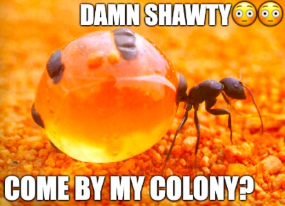 AntPosting (@antpositing) on Twitter photo 