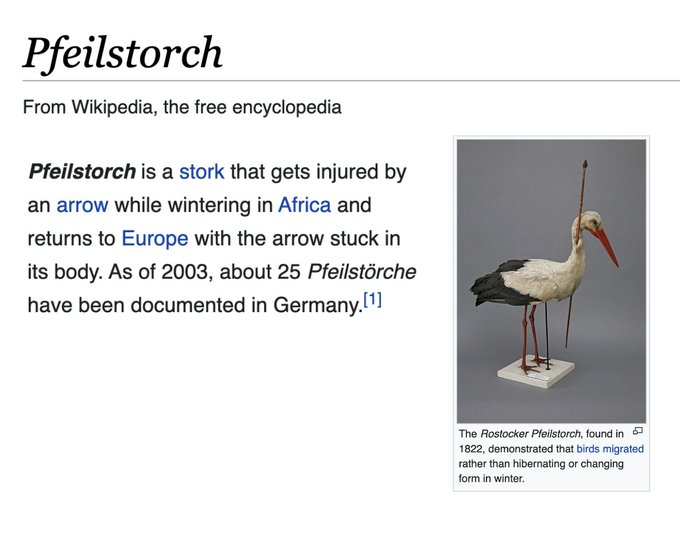 it was officially 201 years ago that a german village found this stork and realized that in the winter, birds didn't just disappear. they migrated!