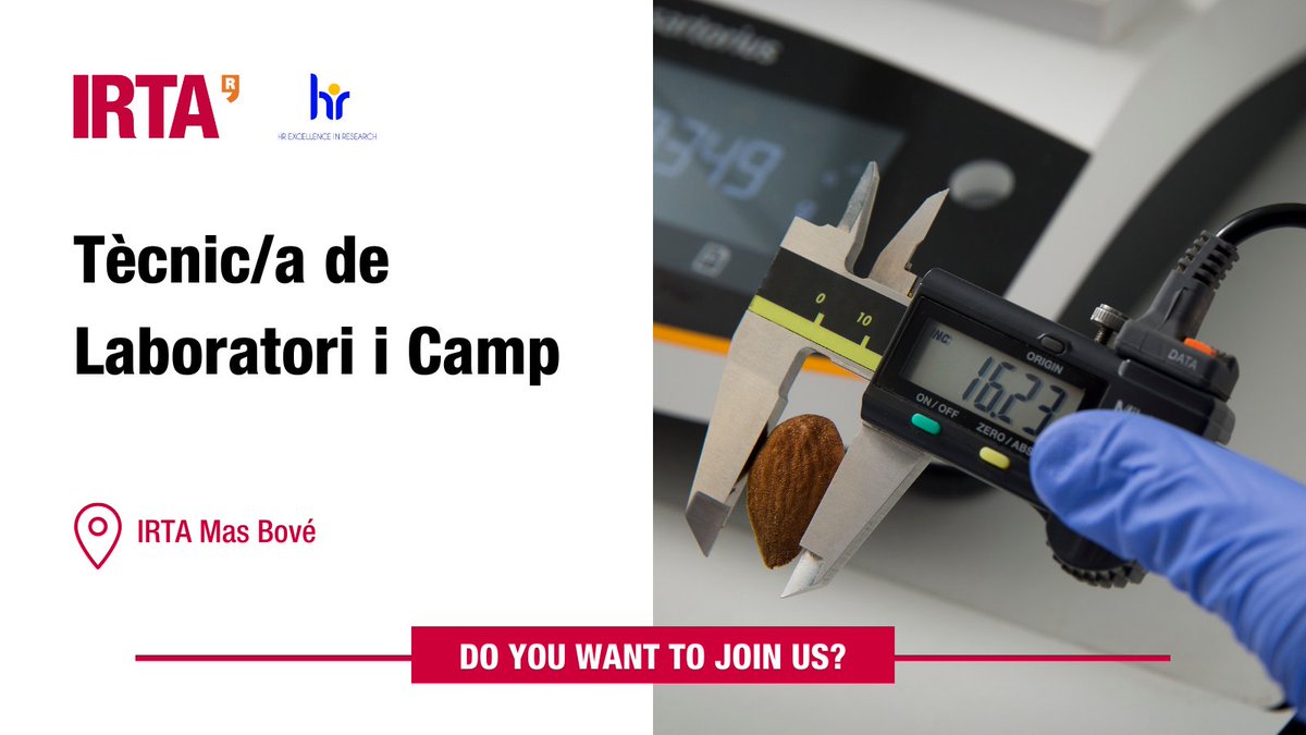 Oferta de #feina IRTA: 
Tècnic/a de #laboratori i #camp d’avaluació de material vegetal d’#ametller

⏳ Termini d'inscripció: 21/05/2023
📍 IRTA Mas Bové (#Constantí, #Tarragona)
☑️ borsatreball.irta.cat/enlace_oferta.…