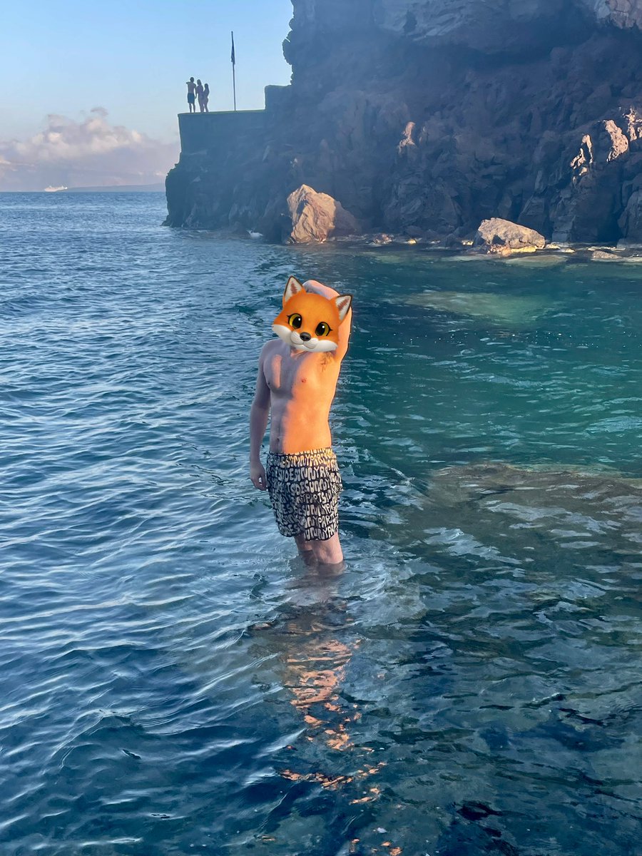 Mellow ✨ tweet media