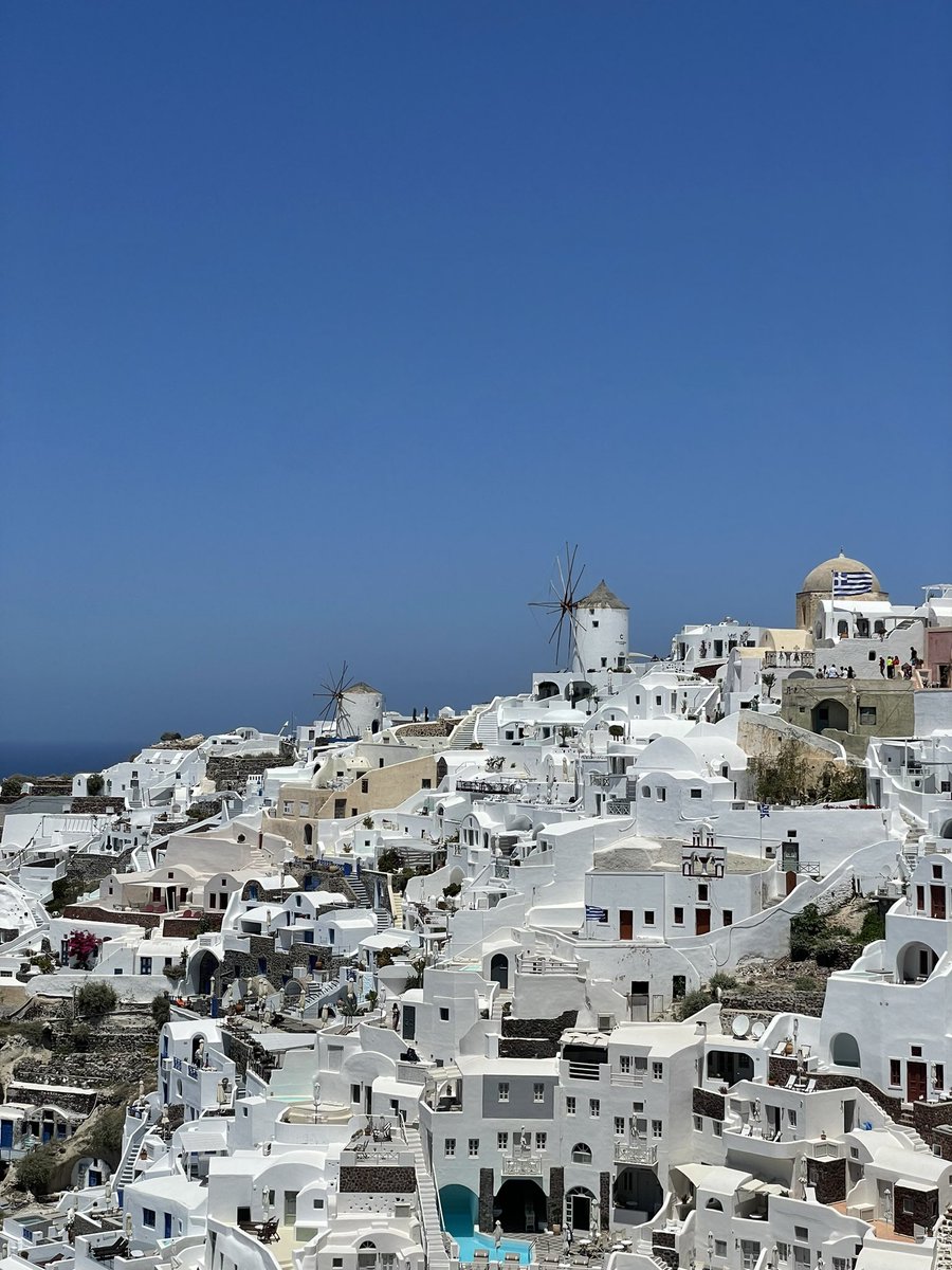 Mellow ✨ tweet media