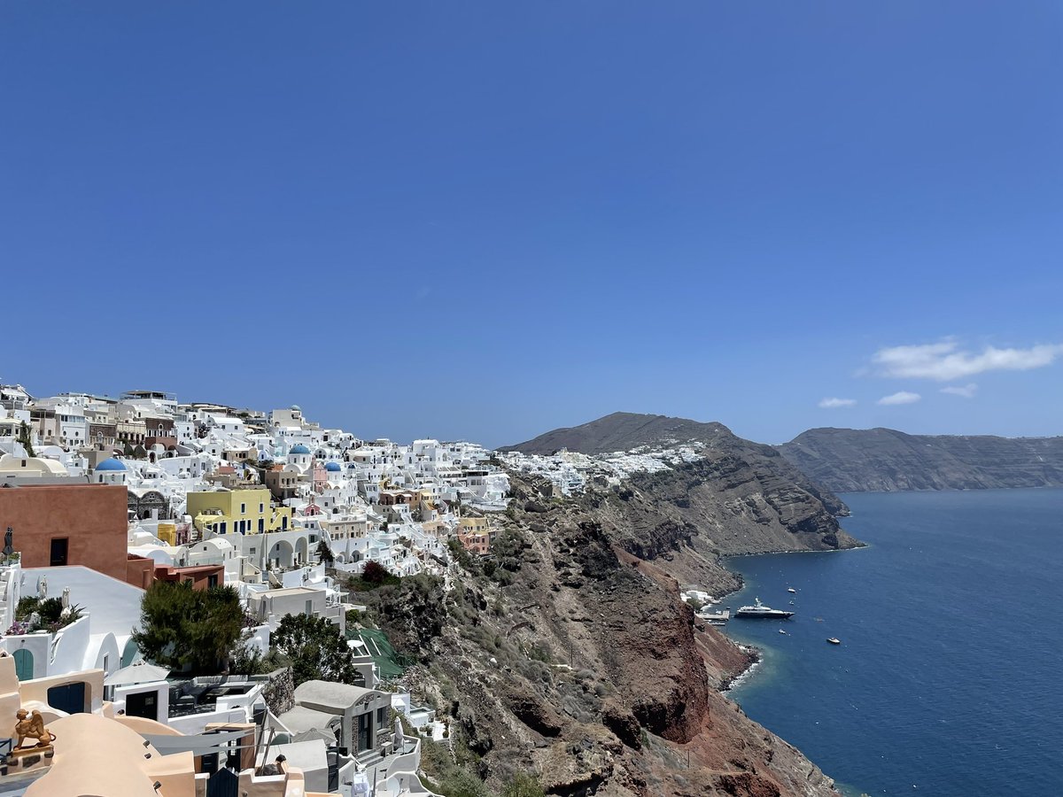 Mellow ✨ tweet media