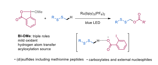 AdvSynthCatal's tweet photo. Another just accepted paper for #iodine special issue by Yiyun Chen from #SIOC, entitled "Selective C–H #Acyloxylation of #Sulfides/Disulfides Enabled by #Hypervalent Iodine Reagents"
https://t.co/NXOrLF6mDc https://t.co/HNGgxuccED