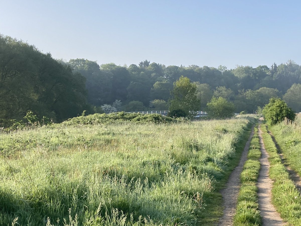 Jatty58's tweet photo. Beautiful weather on #DuttonLocks patch early morning once the mist had cleared. An influx of Whitethroat over the last week or so with 12 seen, also 7 Cetti’s, 12 Reed, 7 Sedge, the odd Willow Warbler, 14 Chiffchaff & 5 Blackcap. Best of the rest were 6 Skylark & Grey Wagtail. https://t.co/joaTUoErVO