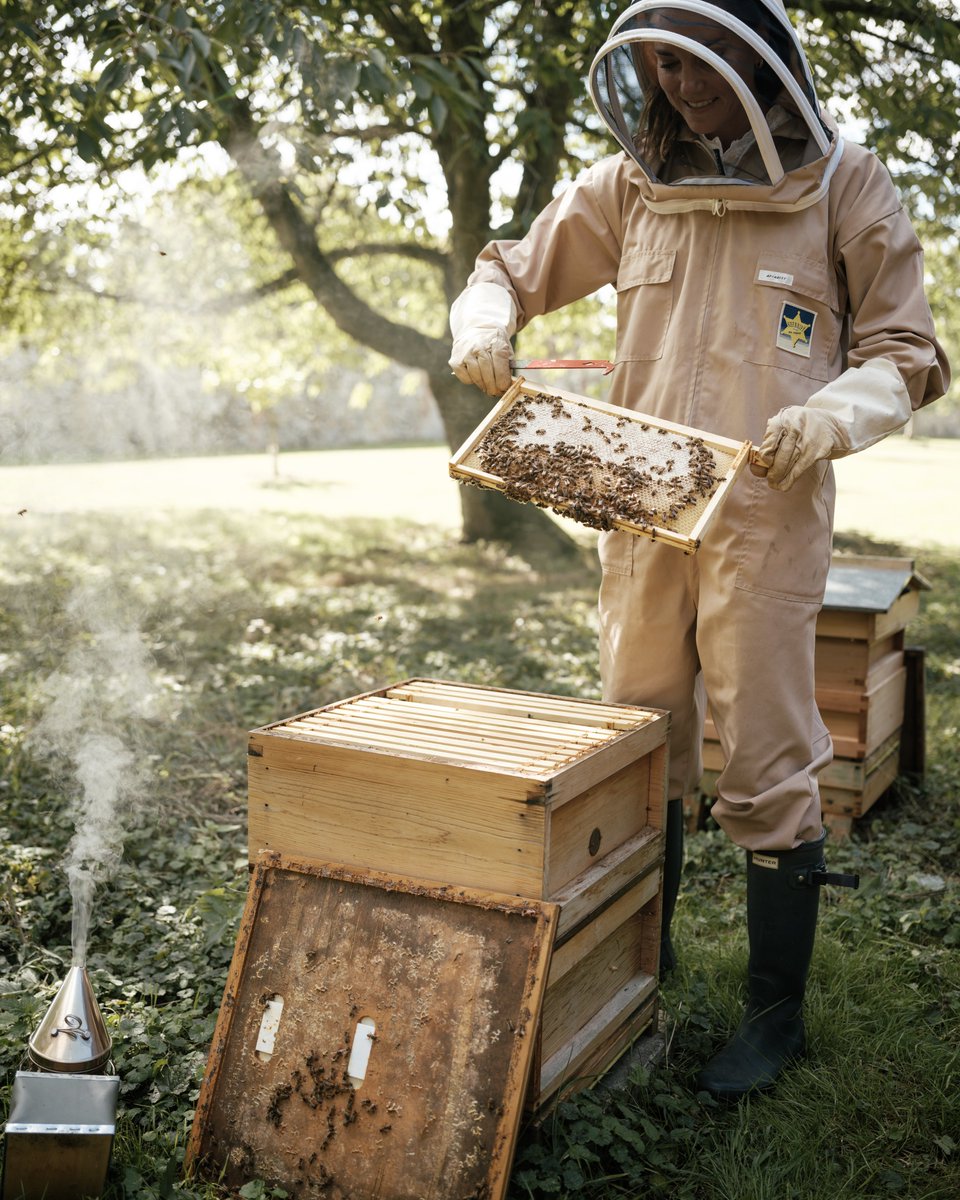 We are buzzing about #WorldBeeDay 🐝

Bees are a vital part of our ecosystem and today is a great opportunity to raise awareness of the essential role bees and other pollinators play in keeping people and the planet healthy.

📸 @mattporteous