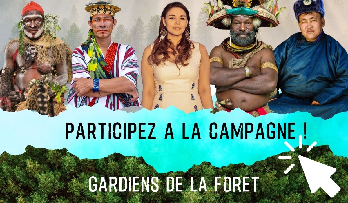 J-39 ! 🌳🌲🌴🌿🍃
Devenez membre d’un projet unique grâce à 🖤KissKiss ! Devenez, vous aussi, un #GardiensDeLaForêt . C'est par ici pour soutenir ce beau projet 👉 bit.ly/3pZIsKc 

 #together4forests #film #forets #forests #gardiens #peuplesautochtones #Nature