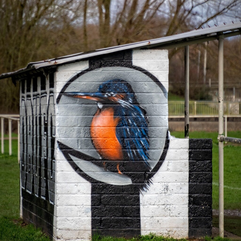 Kingfisher dug-out at a Bradwell football field

#kingfisher #dugout #footballdugout #footballfield #bradwell #miltonkeynes #loughtonvalleypark #theparkstrust #lovemk #scenesfrommmk @theparkstrust @scenesfrommk instagr.am/p/CsdYb0SNkNq/